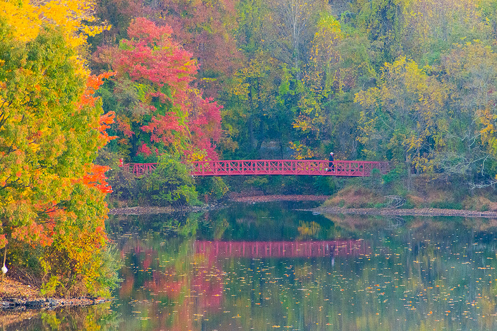 DSC_8595.jpg