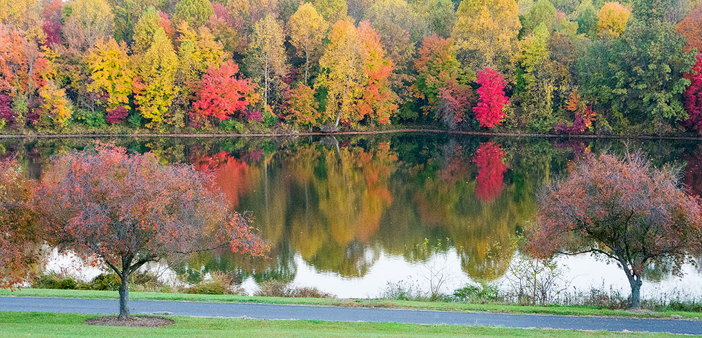 DSC_8573.jpg