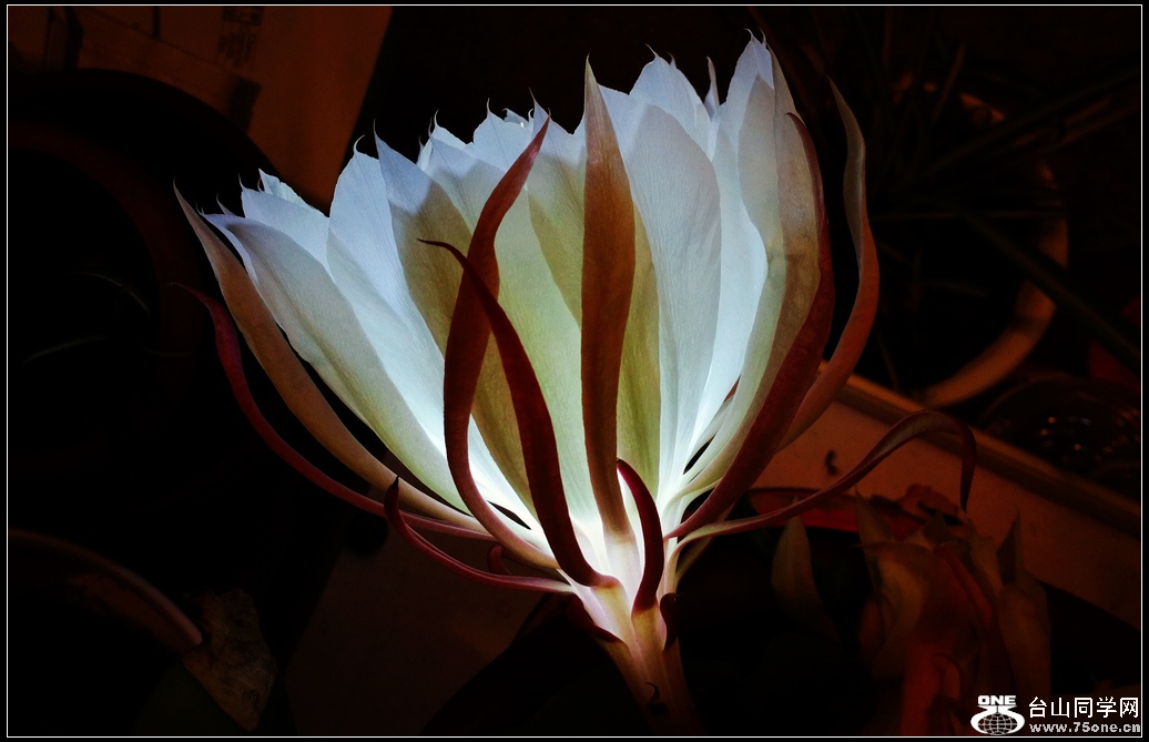 20151002_221307.jpg