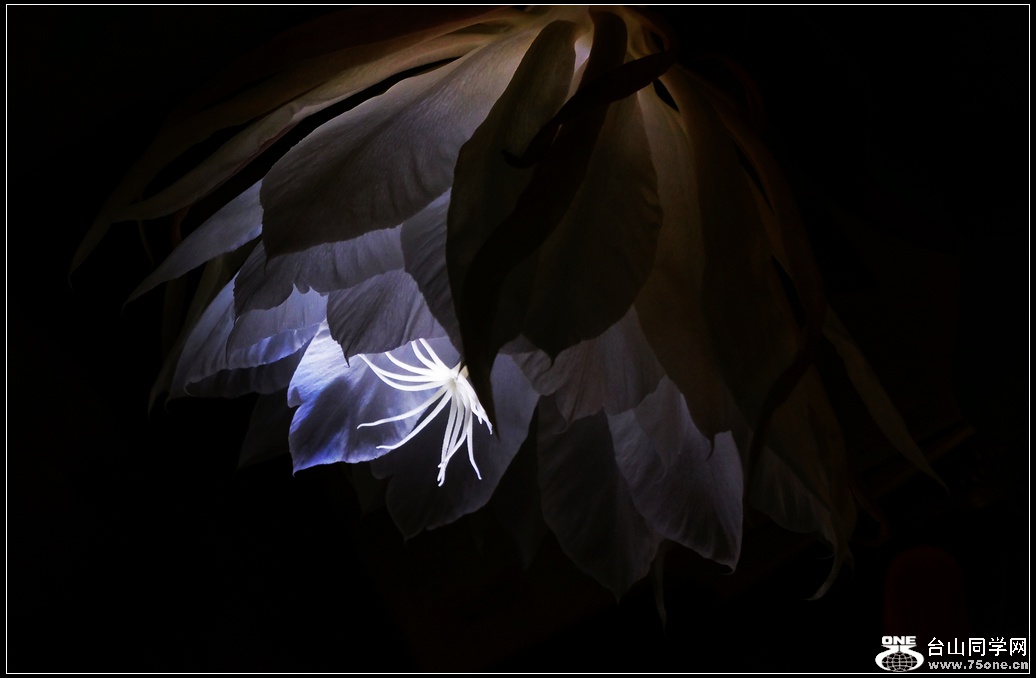 20151002_221043.jpg