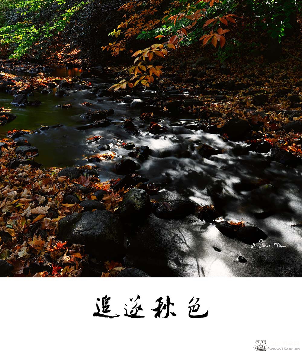 n9_DSD2972mjn.jpg