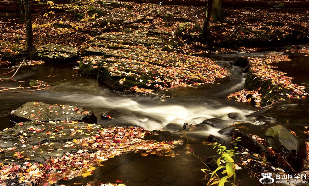 DSC_6917.JPG