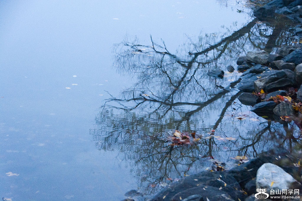 DSC_8761.jpg