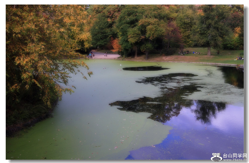 IMG_0570a.jpg