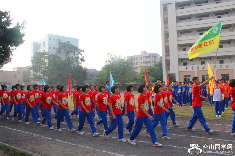 53.jpg