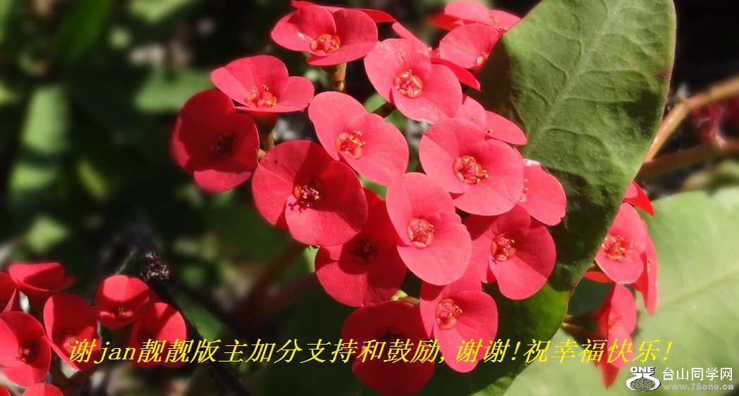 лjanӷֺ֧͹,лл!ףҸ!.jpg