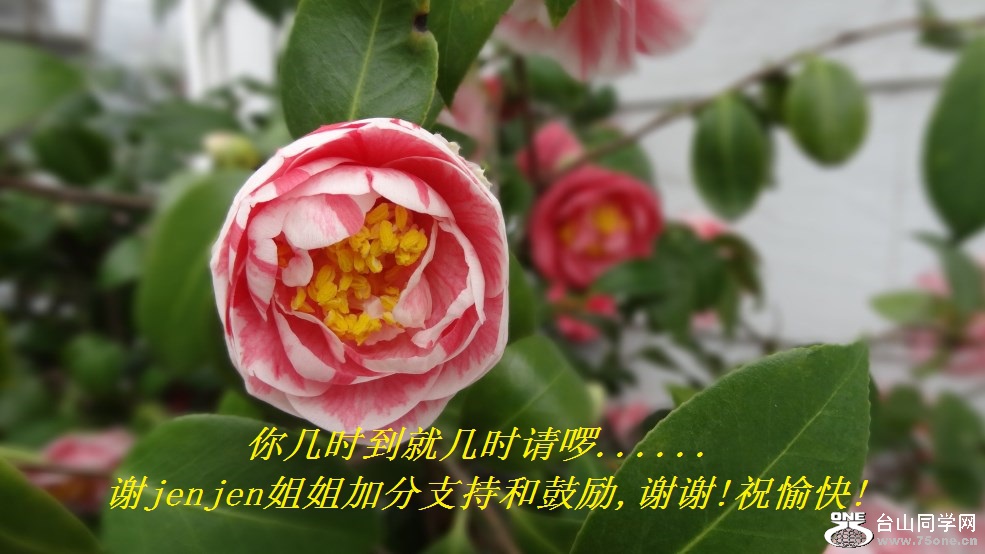 㼸ʱͼʱ놪......лjenjenӷֺ֧͹,лл!ף!.jpg