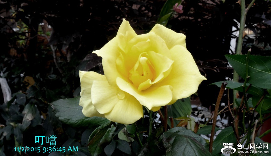 DSC09897_1.JPG
