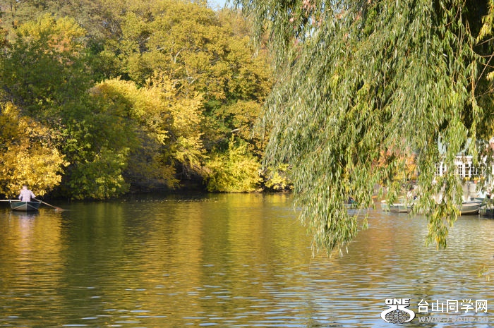 DSC_0486.jpg
