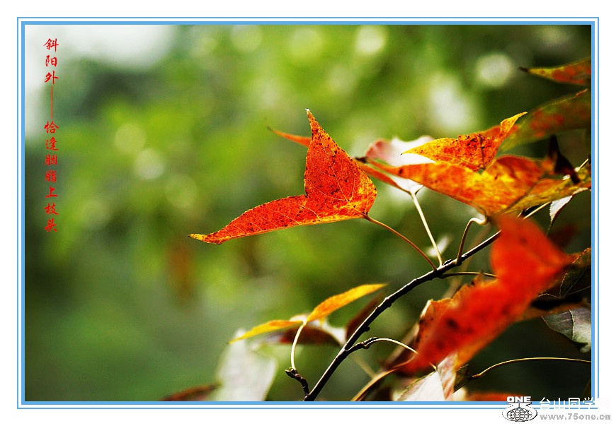 DPP_2015.10.280274_.jpg