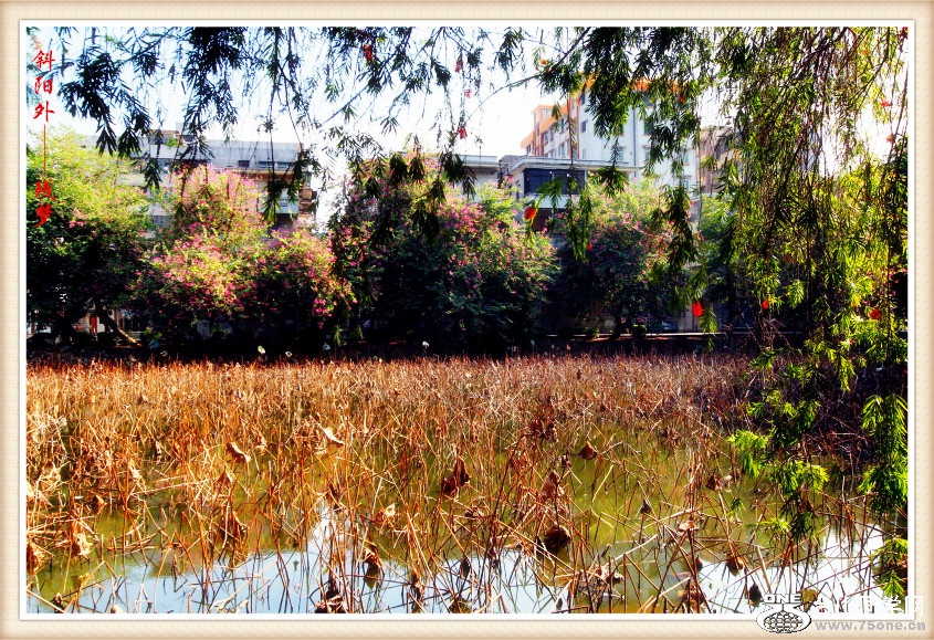 DPP_2015.10.280235_.jpg