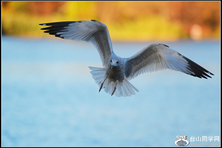 DSC_8695.jpg