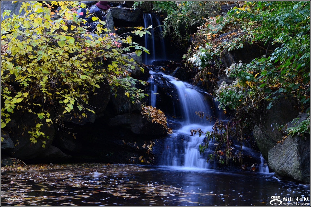 DSC_1764.jpg