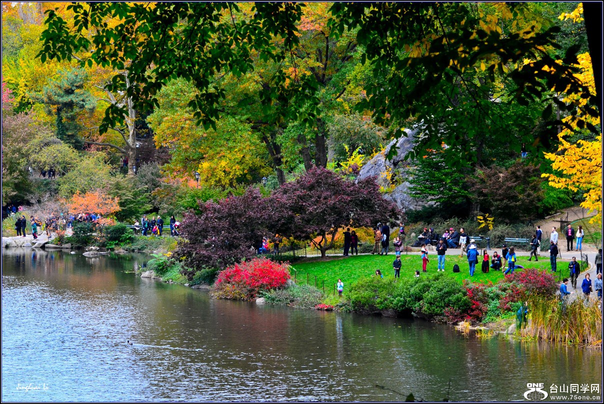 DSC_9666_.jpg