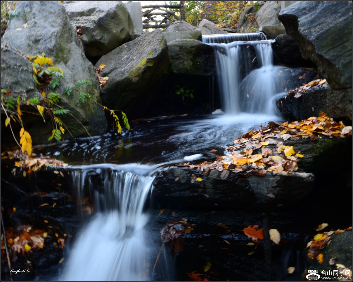 DSC_1751.jpg