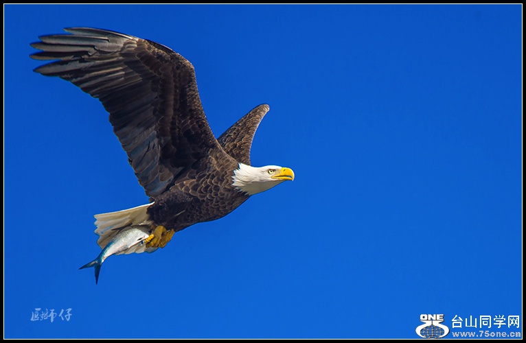 DSC_5686.jpg