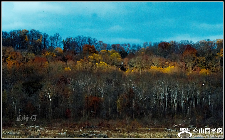 DSC_9445.jpg