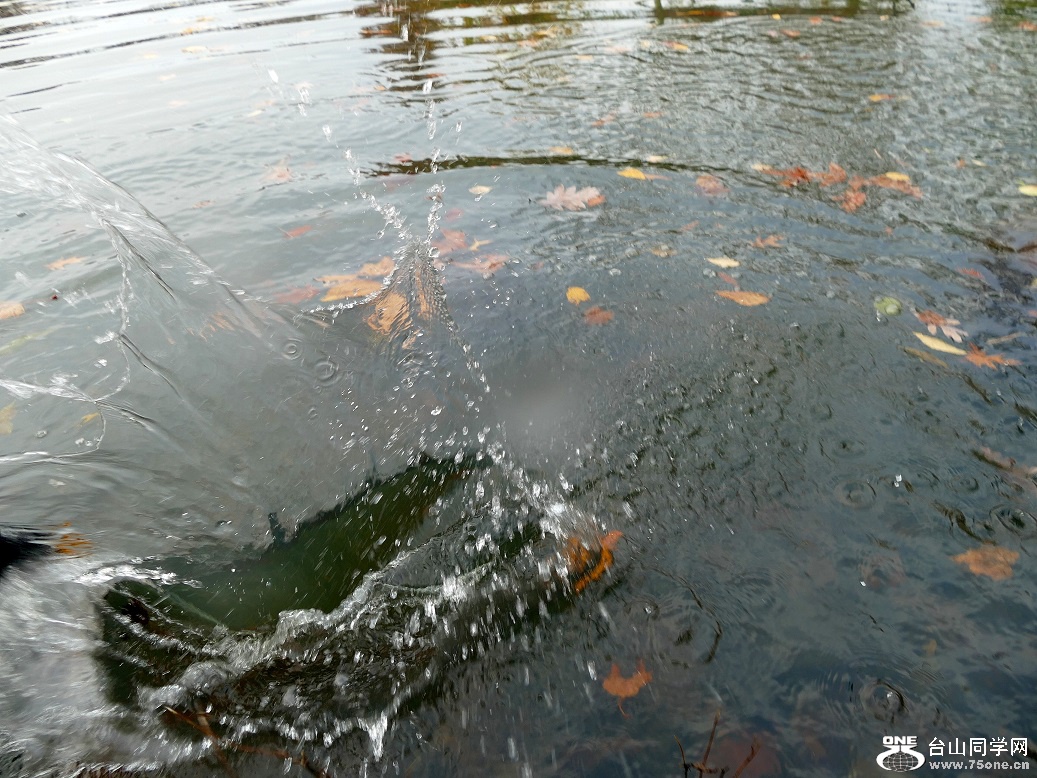 l1020190_conew1.jpg