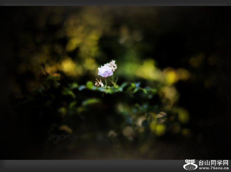 DSC_3804_.jpg