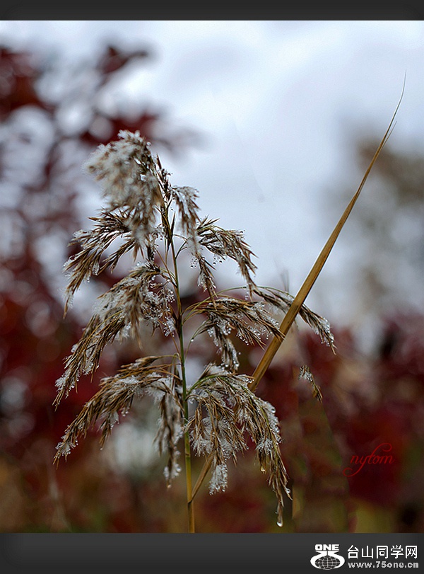 DSC_6100,,_,.jpg