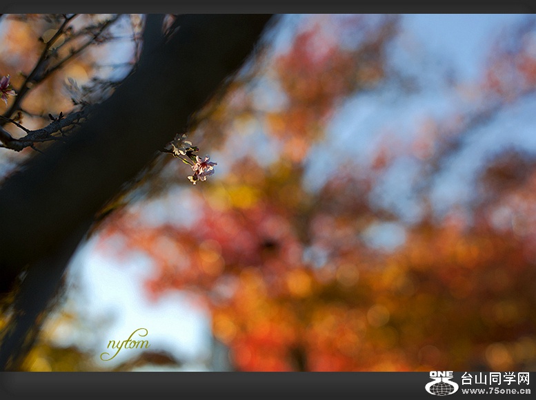 DSC_5989_...jpg
