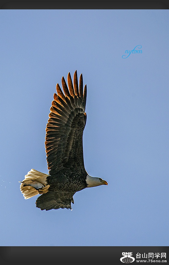 DSC_6905..,_.jpg