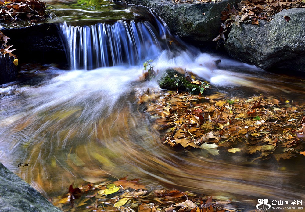 DSC_8304.JPG