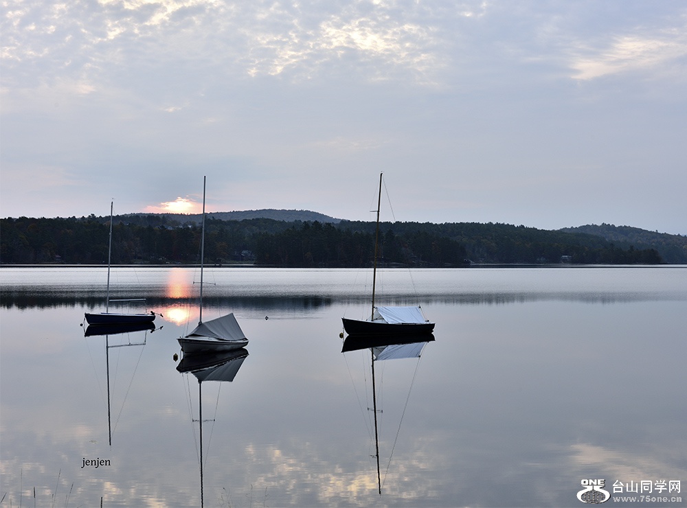 DSC_6337.JPG