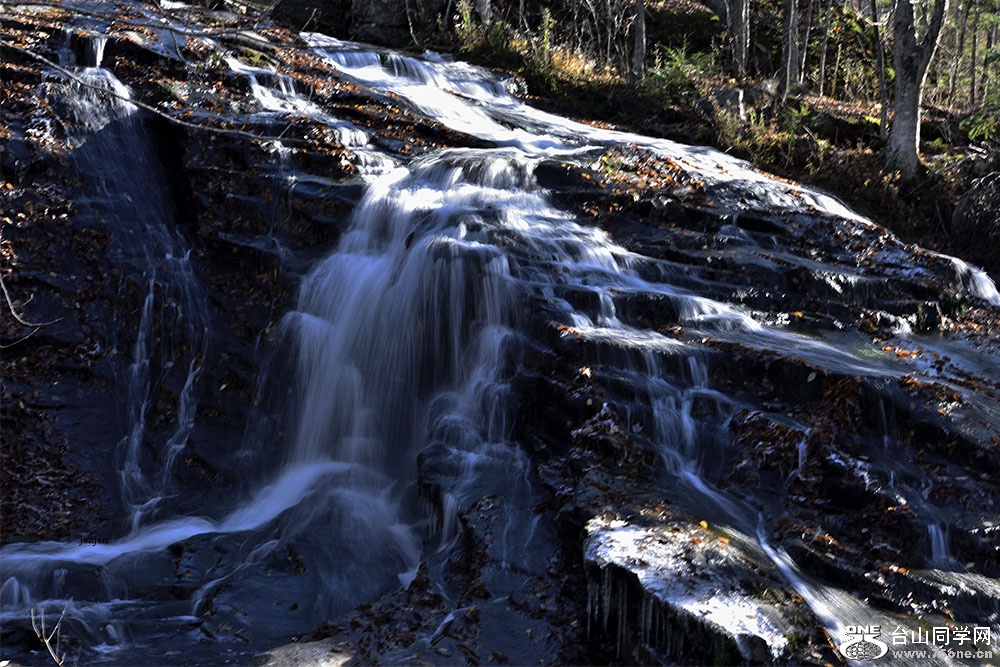 DSC_5925.jpg