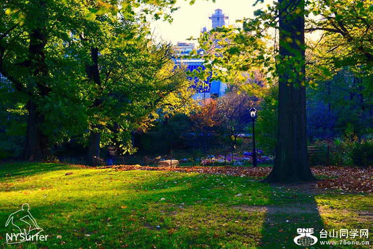 DSC_01419.jpg