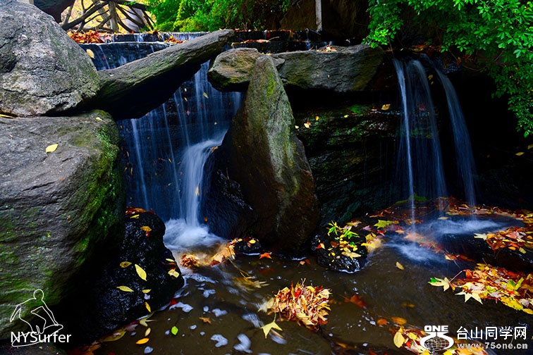 DSC_81869.jpg