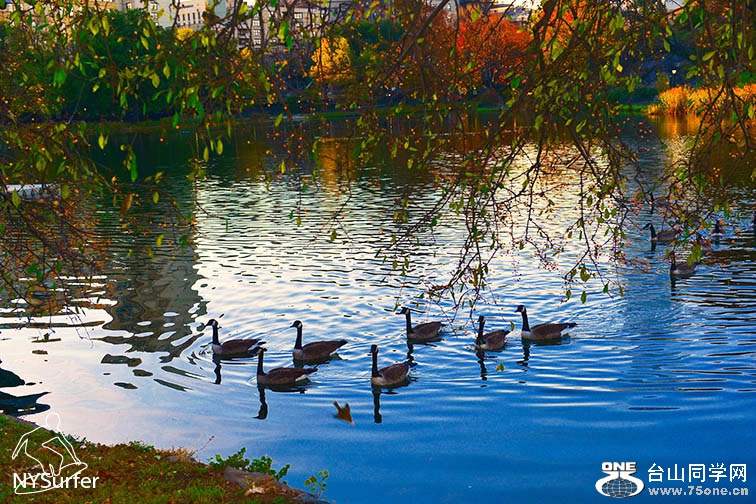 DSC_01602.jpg