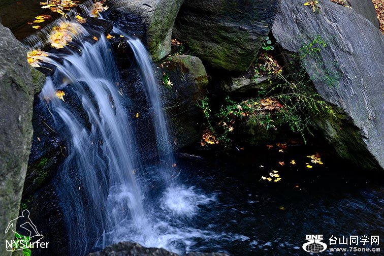 DSC_81806.jpg