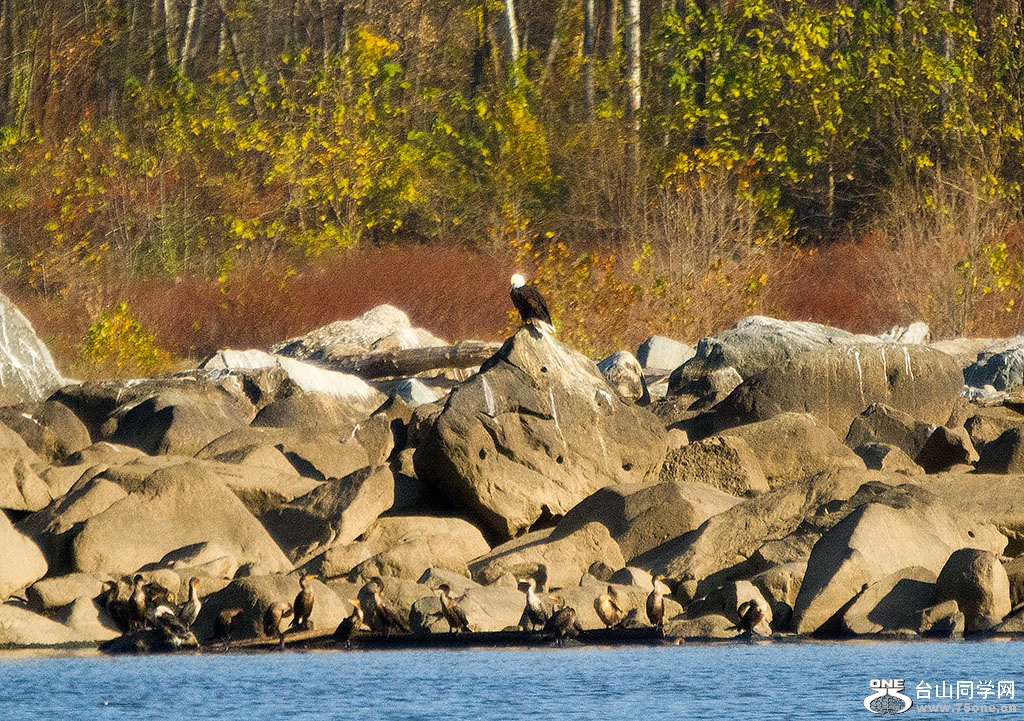 DSC_9756.jpg