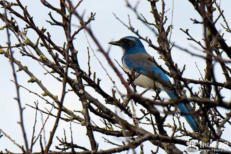 DSC_0073aa.jpg