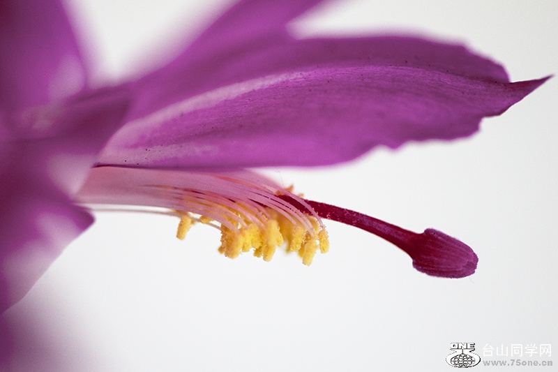 DSC_2362aa.jpg