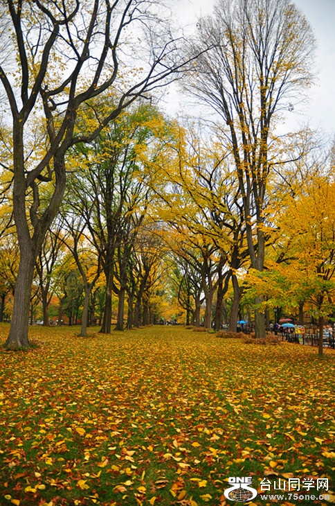 DSC_0132_.jpg