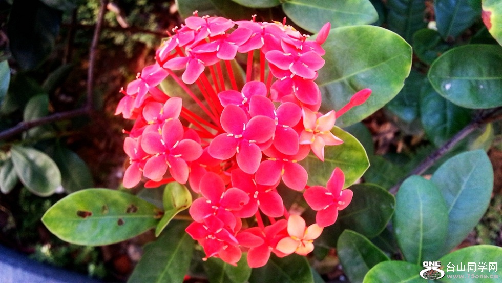 20151116_073032_.jpg