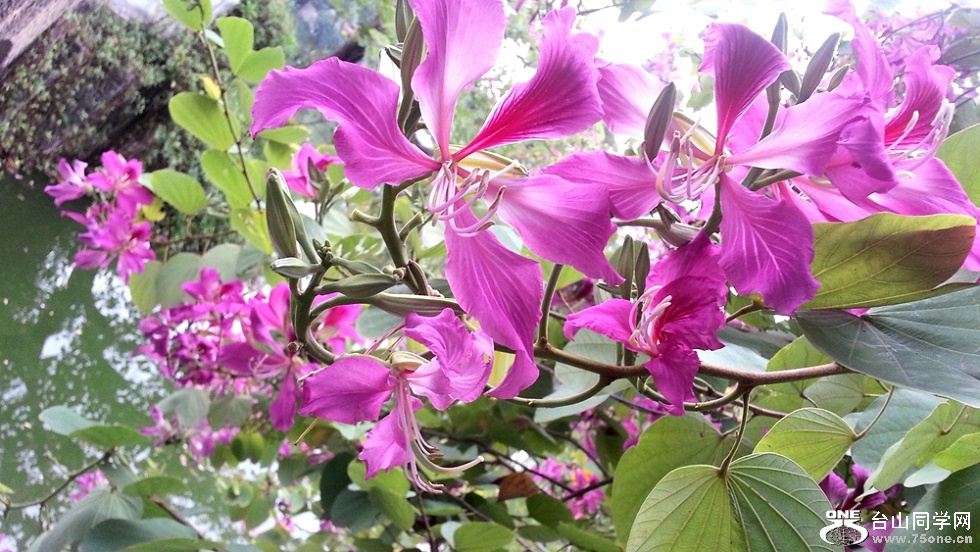 20151119_151536_.jpg