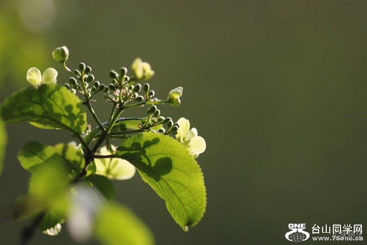 3b370276e4d9465faf50bcc2afea9c76_720_0_max_JPG.jpg