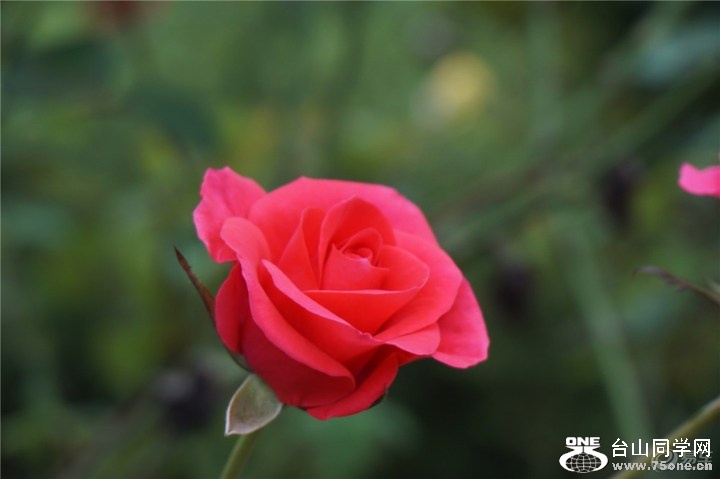 d352ca9ddbd141e59c4e046ffc034407_720_0_max_jpg.jpg