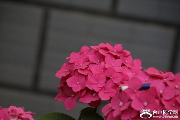 c95fb80d12044be58bed9599a1c4a953_720_0_max_jpg.jpg