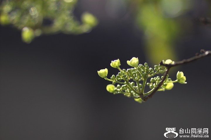 804a3f499bf54bb9844d473bfdd5d7b3_720_0_max_JPG.jpg