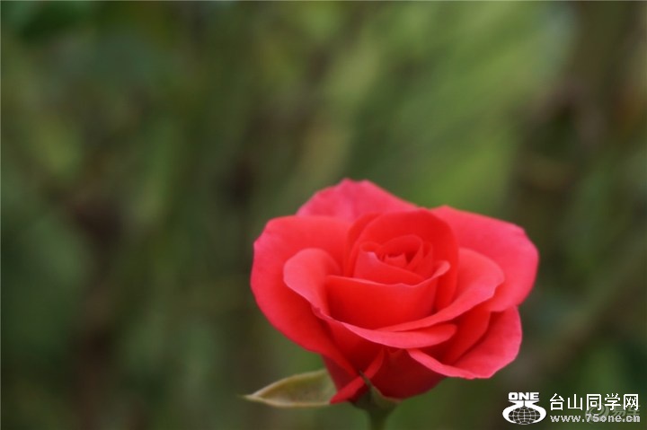 3dba9087500449d7b796efdb5a502f9a_720_0_max_jpg.jpg
