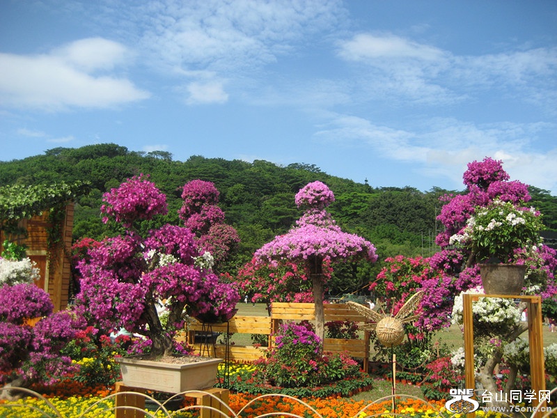 2015 024_.jpg