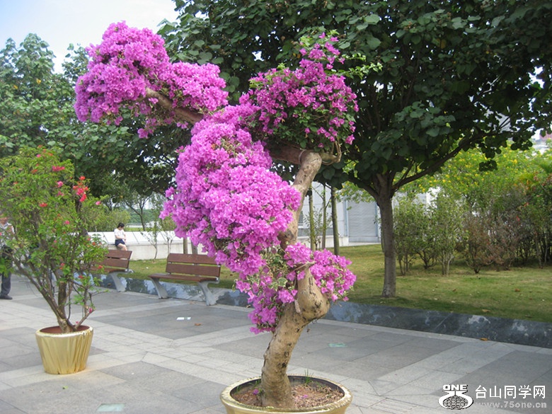 2015 014_.jpg