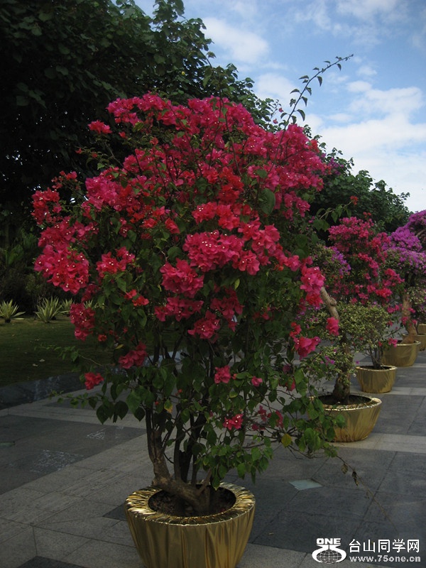 2015 003_.jpg