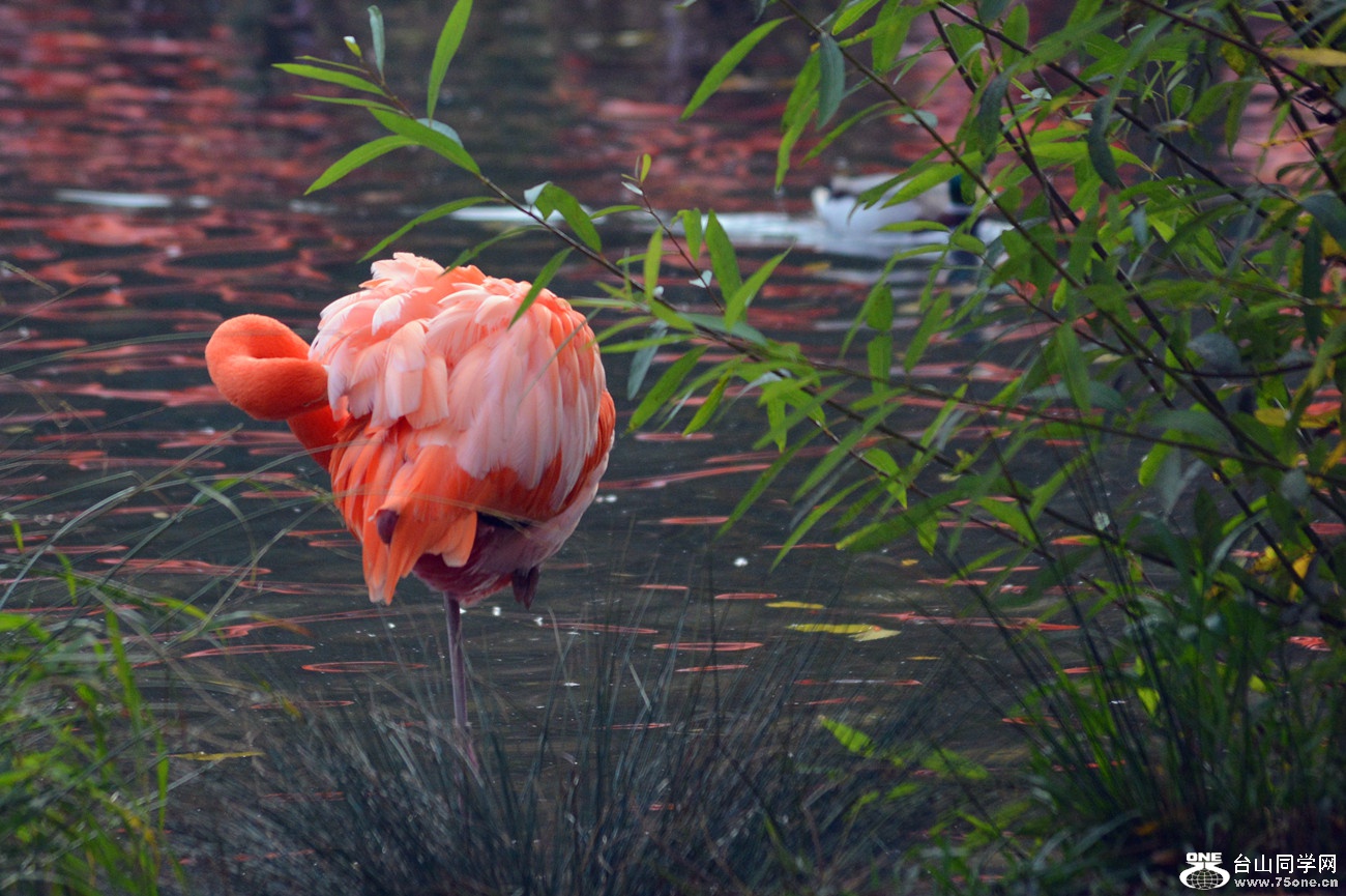 DSC_2079_38.jpg