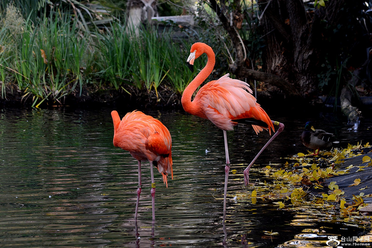 DSC_2022_51.jpg