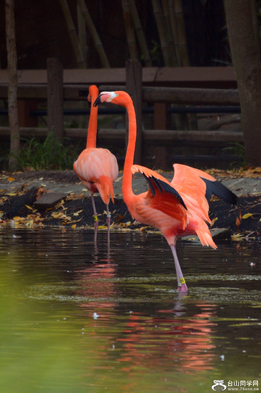 DSC_2170_24.jpg